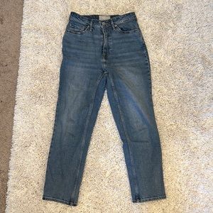 Everlane Curvy Cheeky Jean Size 26 Crop